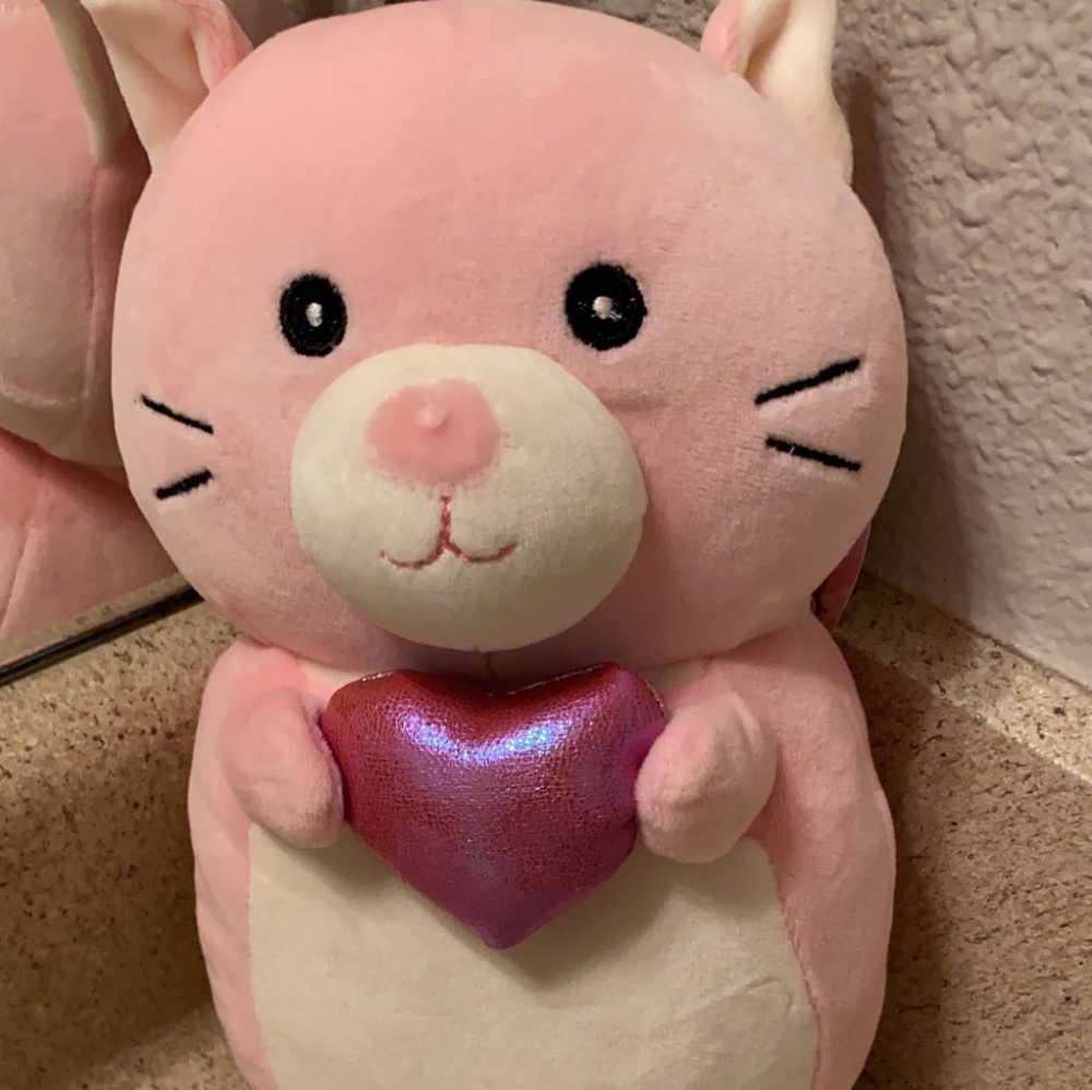10" Valentine's Day Cat Holding a Heart EXCLUSIVE "Hug Mee" Squishmallow